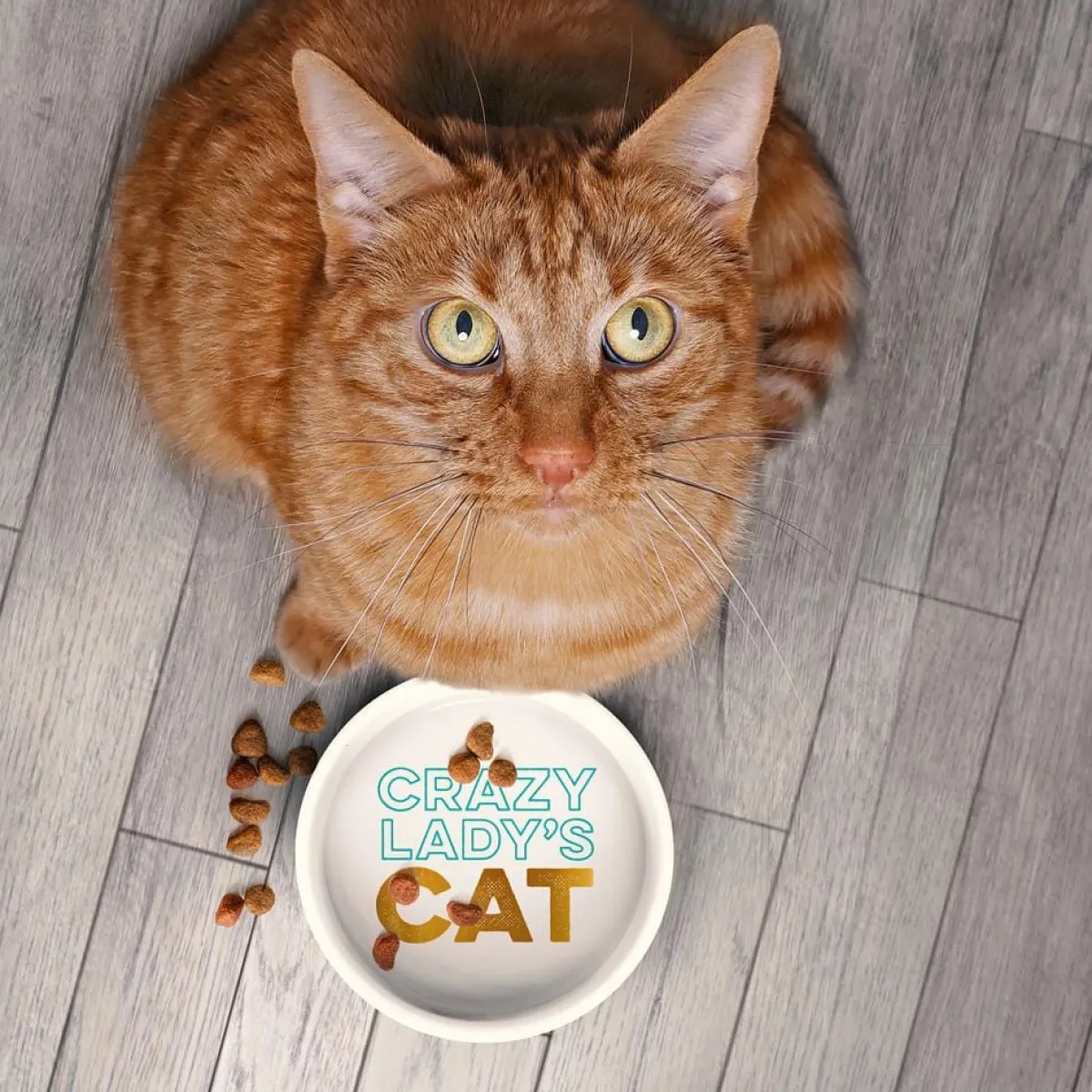 Cats | Shop All Table>Genuine Fred CERAMIC MUG + CAT BOWL SET