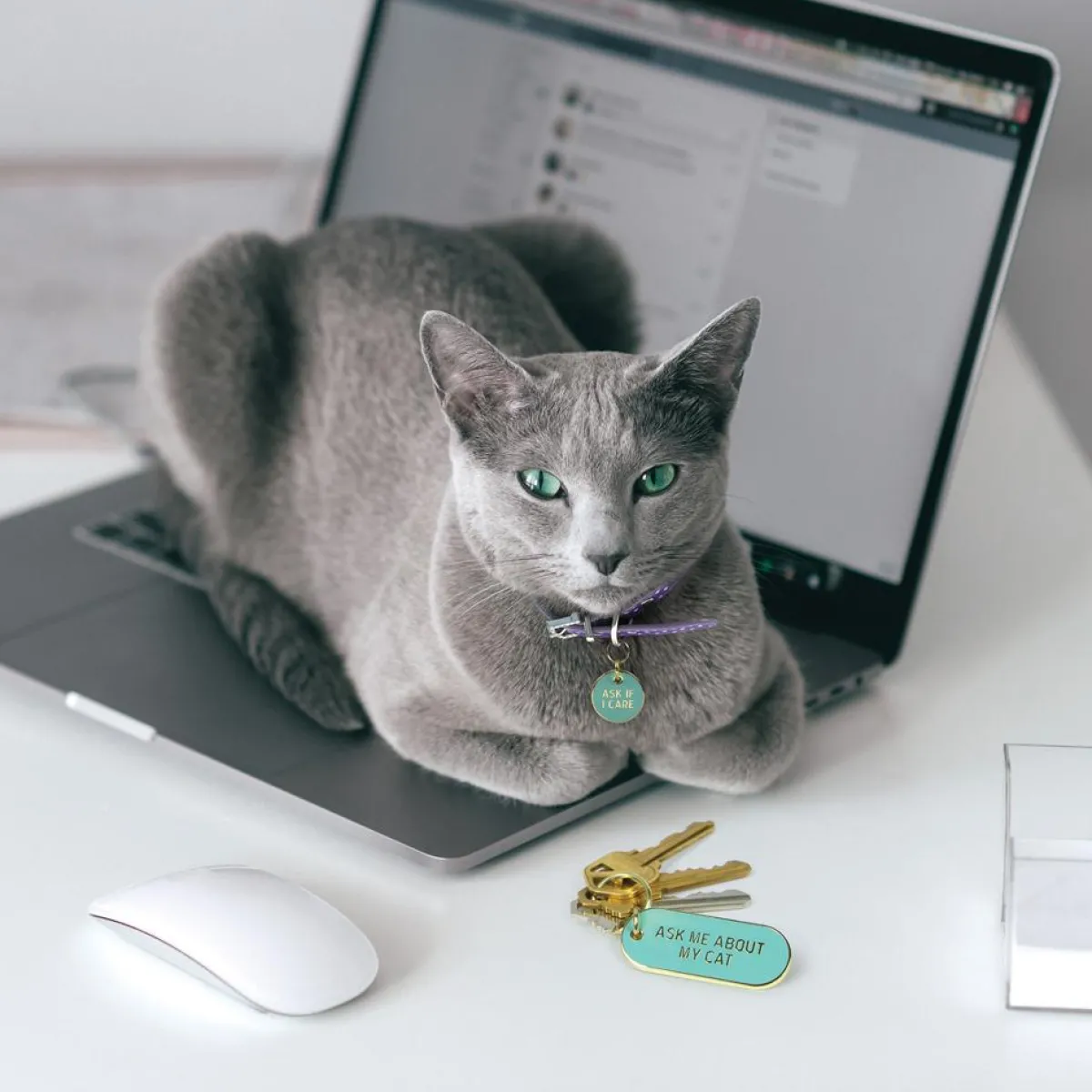 Cats>Genuine Fred KEYCHAIN + CAT TAG SET