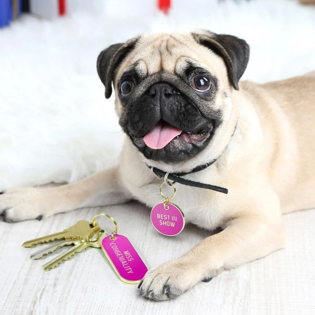 Dogs>Genuine Fred KEYCHAIN + DOG TAG SET