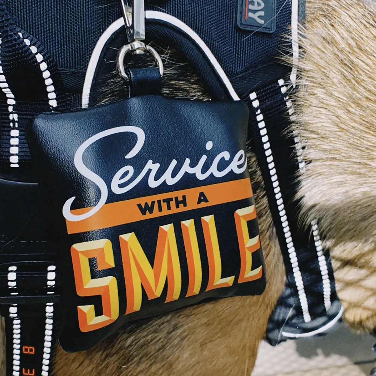 Dogs>Genuine Fred POOP BAG HOLDER: SERVICE WITH A SMILE