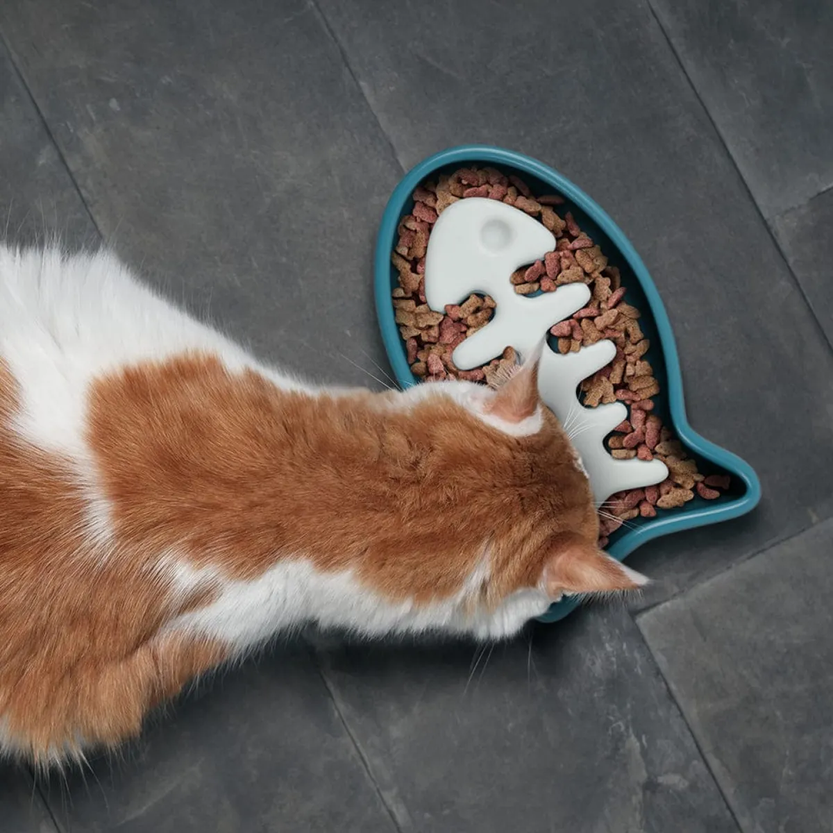 Cats>Genuine Fred SLOW FOOD - CAT