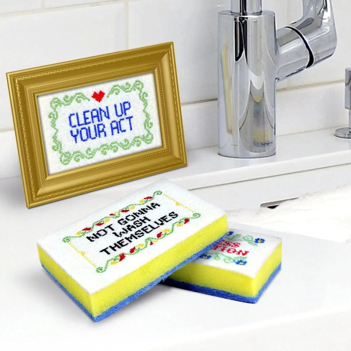 Cleaning | Sponges>Genuine Fred SUBVERSIVE SPONGES - PG Rated